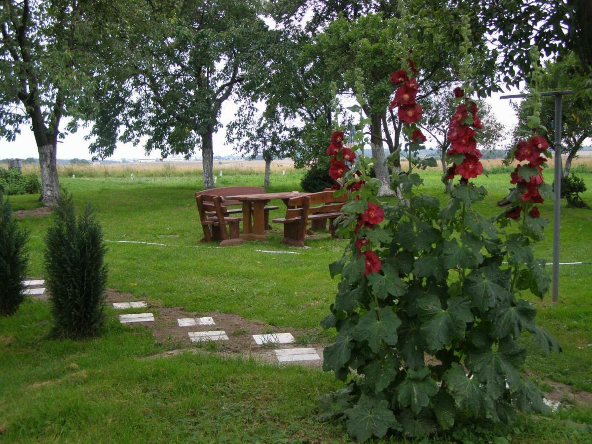 Ranczo U Stefana Farm stay